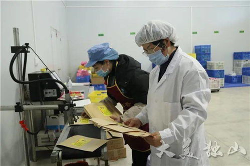 獨(dú)山縣小微企業(yè)商會(huì)獲“四好”榮譽(yù)，食品互聯(lián)網(wǎng)銷售成創(chuàng)新亮點(diǎn)